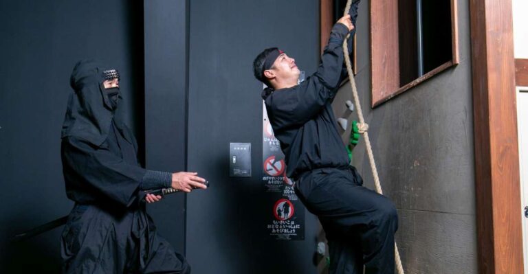 Odawara: Guided Ninja & Samurai Tour of Odawara Castle Quick Takeaways