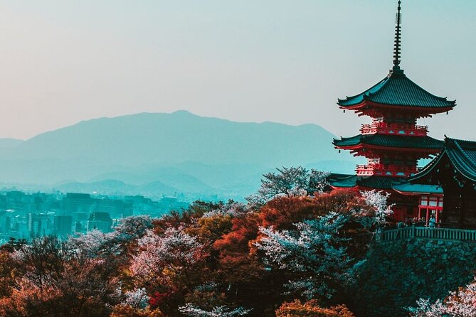 Private Custom Tour With a Local Guide Kyoto Quick Takeaways