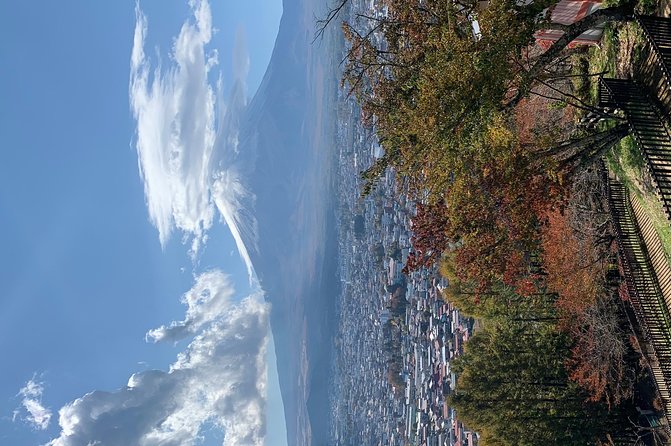 Private Full Day Sightseeing Tour to Mount Fuji and Hakone Guide - Tour Details and Logistics