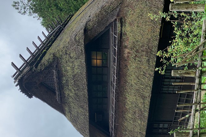 Private Full Day Sightseeing Tour to Mount Fuji and Hakone Guide - Tour Guides