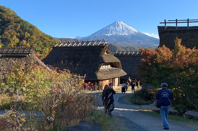 Private Full Day Sightseeing Tour to Mount Fuji and Hakone Guide - General Comments