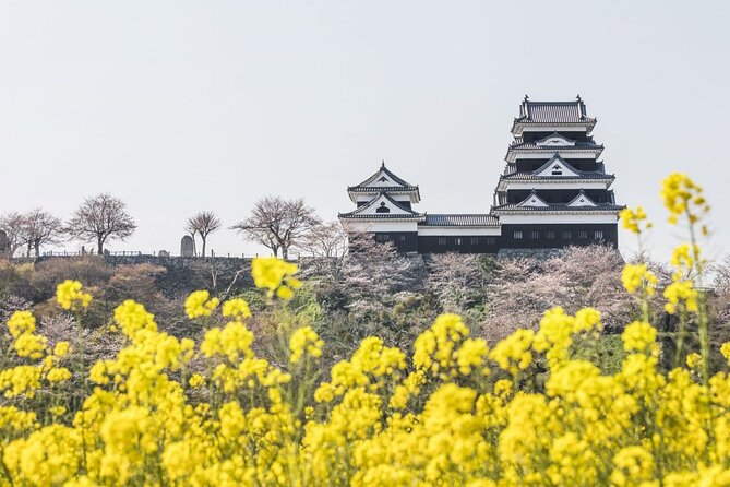 Private Multiday Historical Tour in Ehime Quick Takeaways