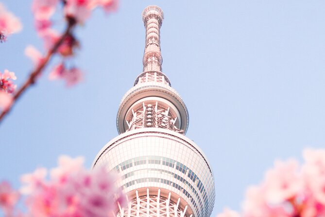 Private Round Trip Transfer From Haneda/Narita Airport to Tokyo. Quick Takeaways