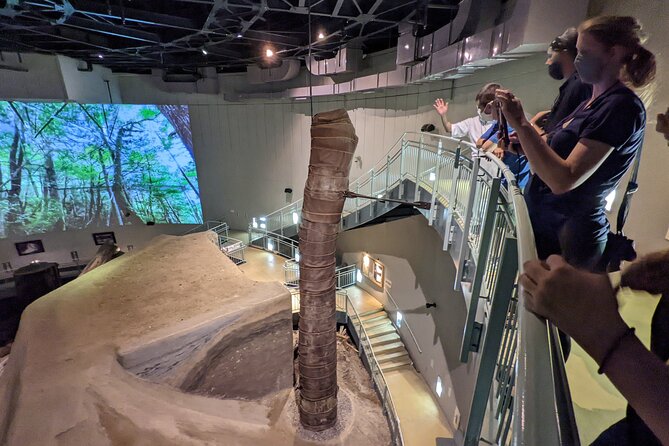 Sanbe Azukihara Principle Buried Forest Park Jomon No Mori - Quick Takeaways