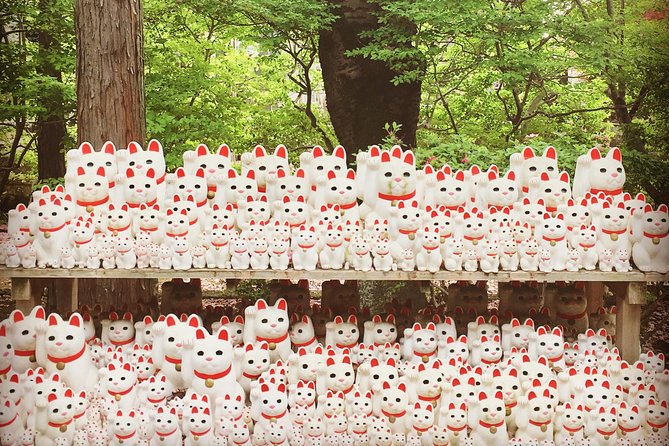 Setagaya Cat Tour! - Quick Takeaways