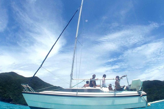 Swim With Sea Turtles at Kerama Islands Quick Takeaways