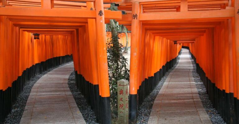 kyoto-full-day-best-unesco-and-historical-sites-bus-tour-quick-takeaways