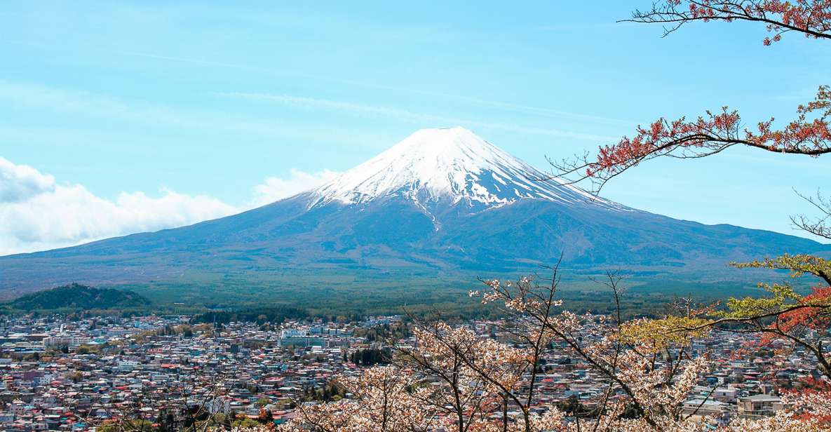 From Tokyo: Mt. Fuji Full-Day Sightseeing Trip - Quick Takeaways