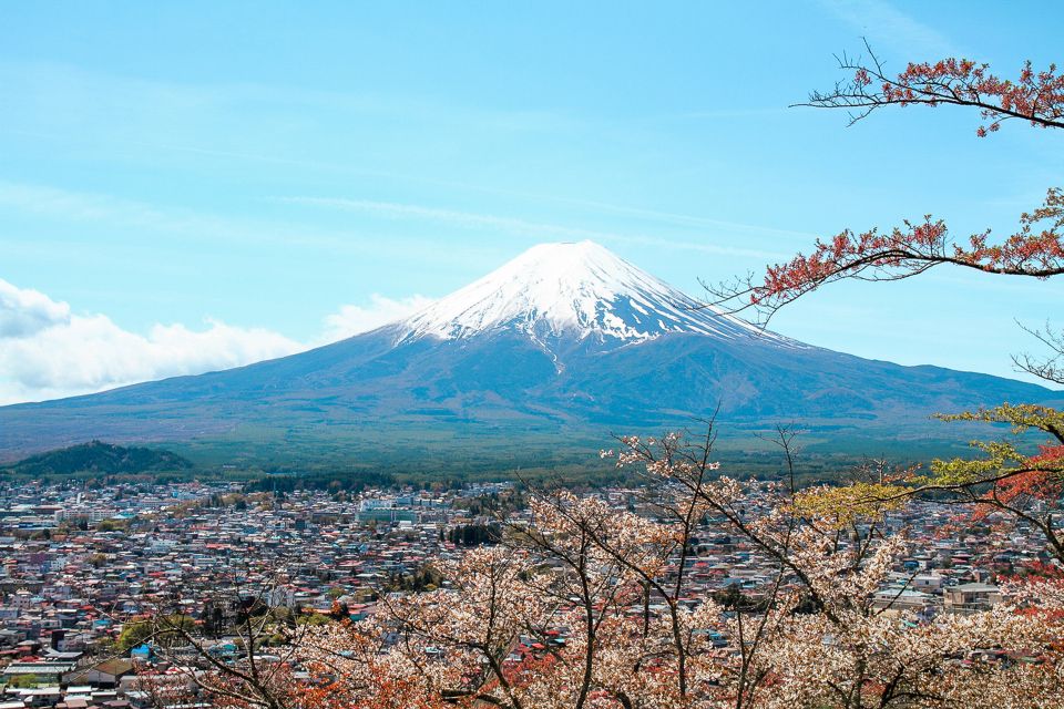 From Tokyo: Mt. Fuji Full-Day Sightseeing Trip - Activity Details