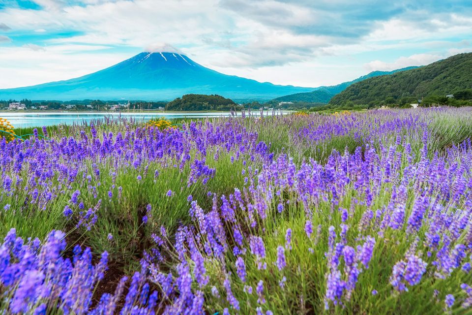 From Tokyo: Mt. Fuji Full-Day Sightseeing Trip - Full Description