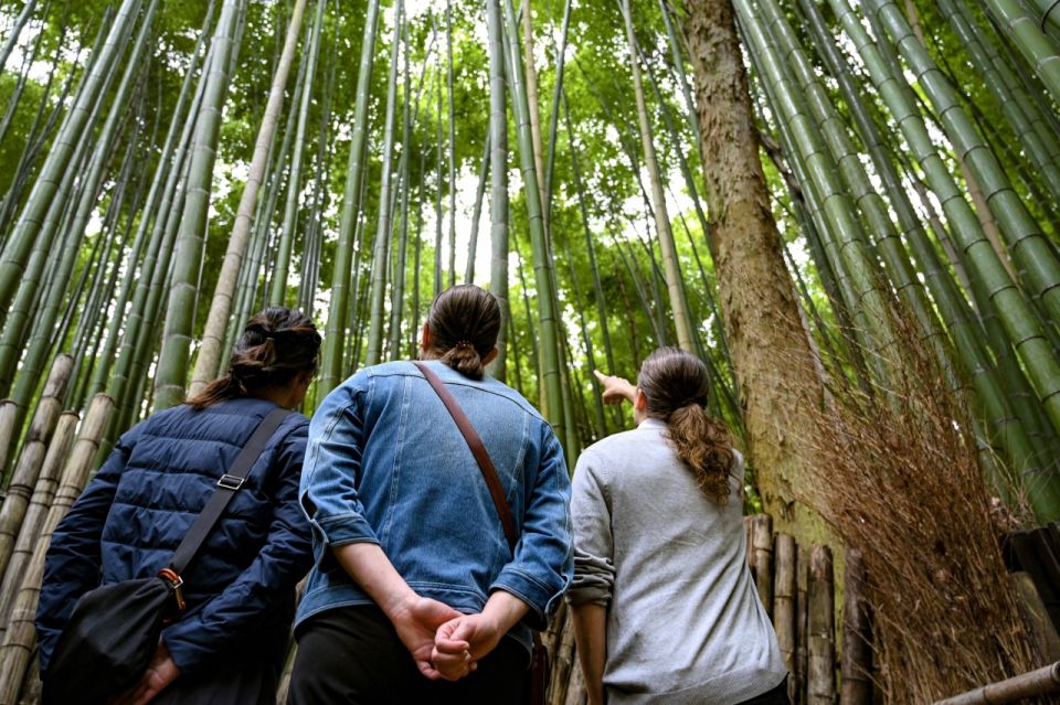 Arashiyama: Bamboo Grove and Temple Tour - Additional Information