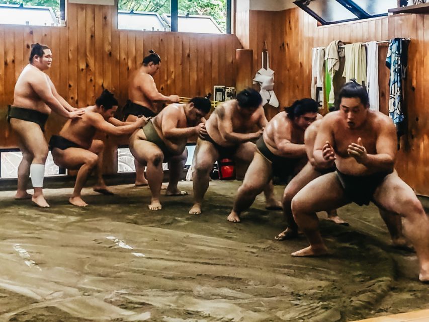 Tokyo: Sumo Morning Training Visit - Important Reminders