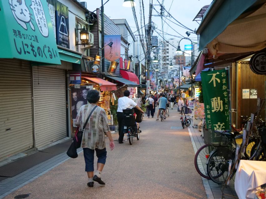 Yanaka District: Historical Walking Tour in Tokyo's Old Town - Exploring Nezu Shrine