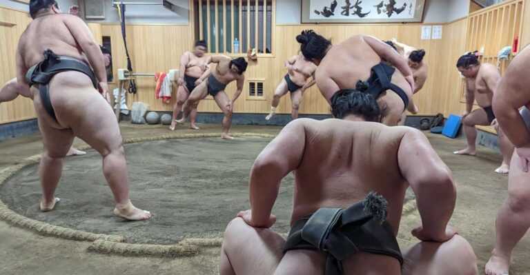 tokyo-morning-sumo-practice-viewing-quick-takeaways