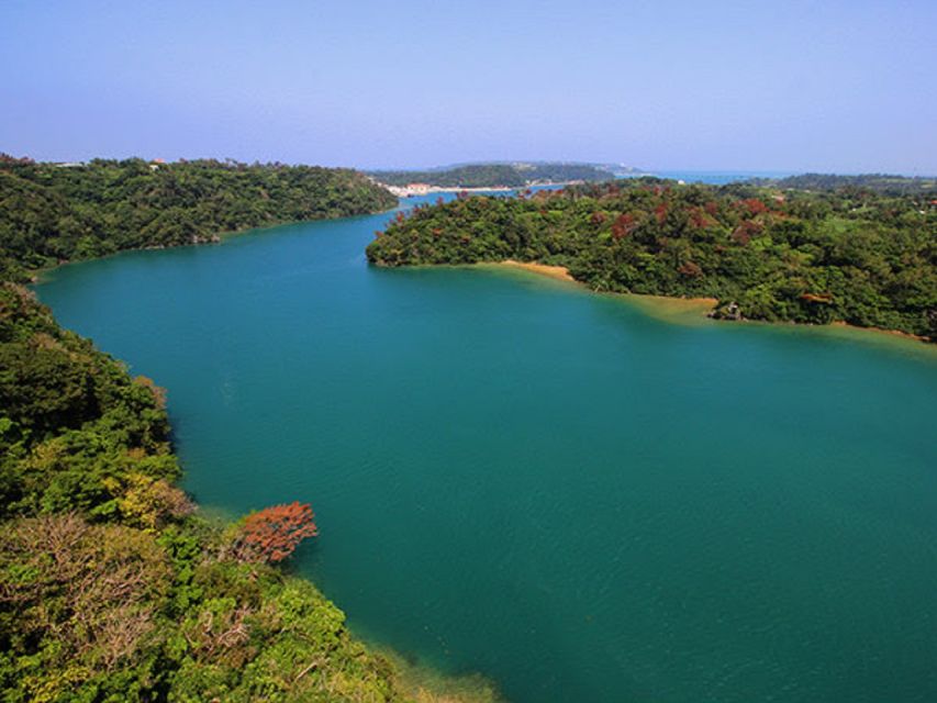 Naha: 北部沖縄観光ツアー＆美ら海水族館 - Tour Experience