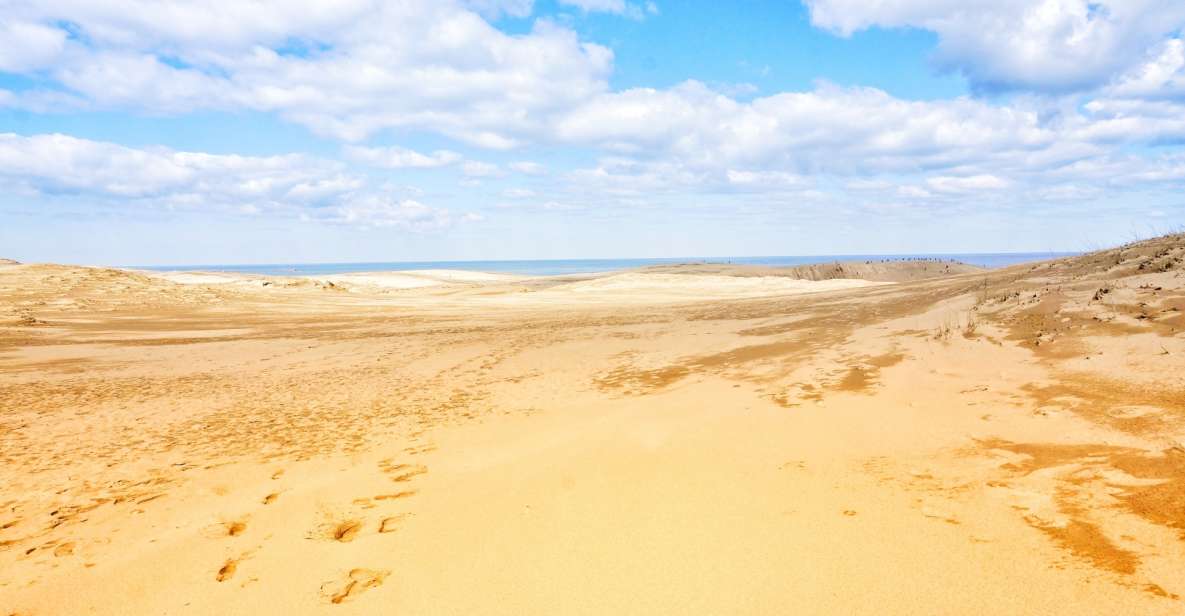 Osaka: Tottori Sand Dunes and Hakuto Shrine Day Trip by Bus - Activity Details