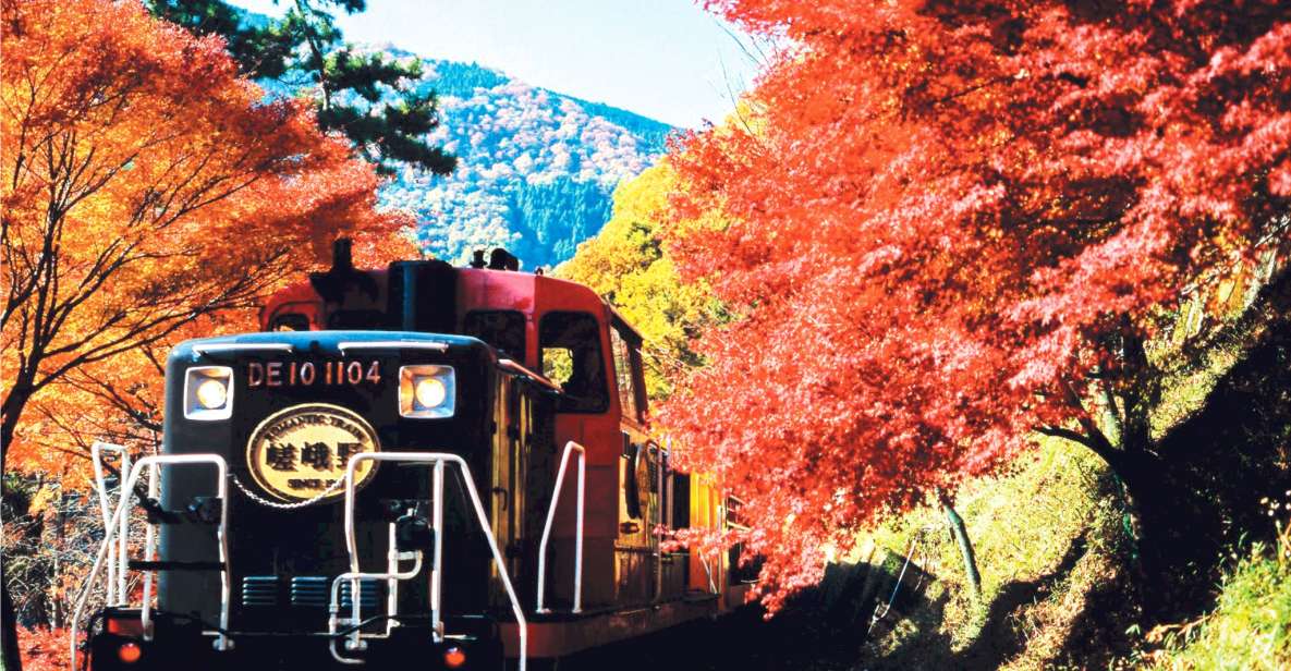 From Kyoto: Sagano Train Ride and Guided Kyoto Day Tour - Important Information for Participants