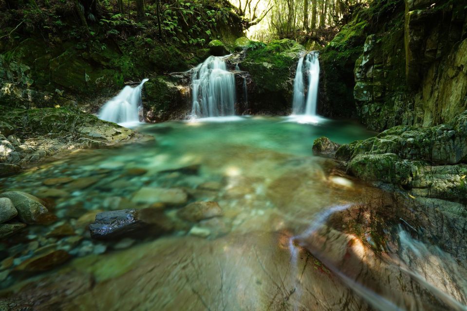 Shirahama: 1 or 2 Day Car Rental - Experience and Benefits