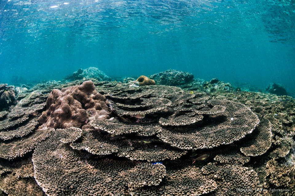 Shirahama: 1 or 2 Day Car Rental - Rental Duration for 2-Day