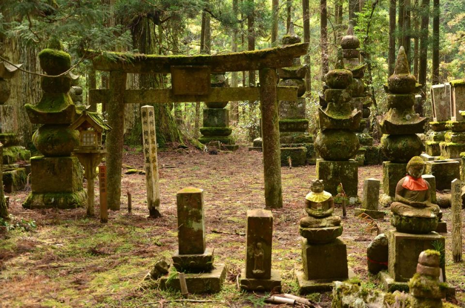 Wakayama: Mt. Koya Private Walking Tour With Local Guide - Customer Reviews