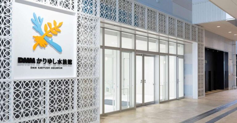 tomigusuku-dmm-kariyushi-aquarium-admission-quick-takeaways