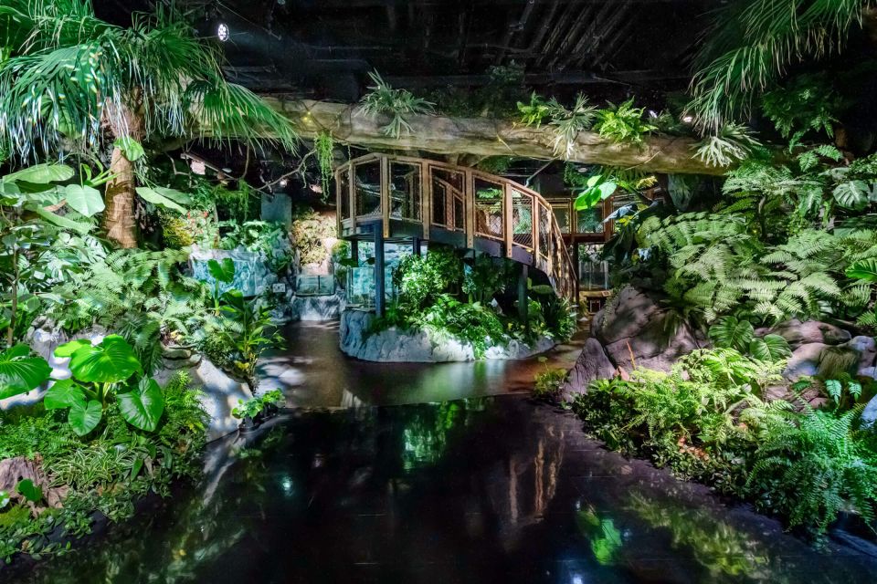 Tomigusuku: DMM Kariyushi Aquarium Admission - Inclusions