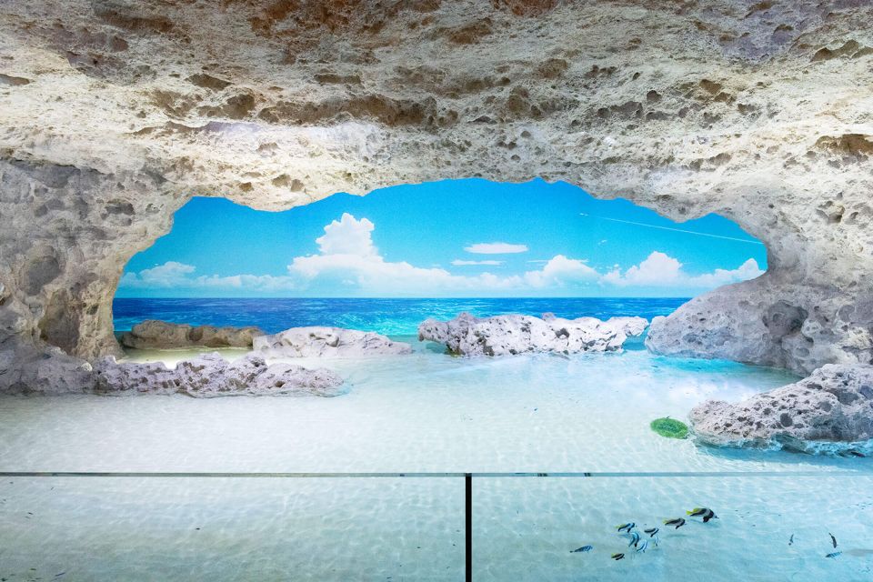 Tomigusuku: DMM Kariyushi Aquarium Admission - Meeting Point and Opening Hours