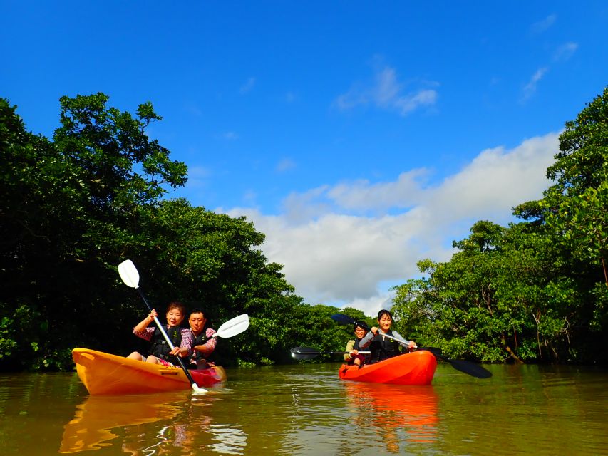Ishigaki Island: 2-Hour Miyara River Kayaking Tour - Quick Takeaways