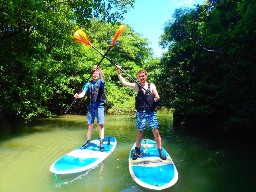 Ishigaki Island: 2-Hour Miyara River Kayaking Tour - Review Summary