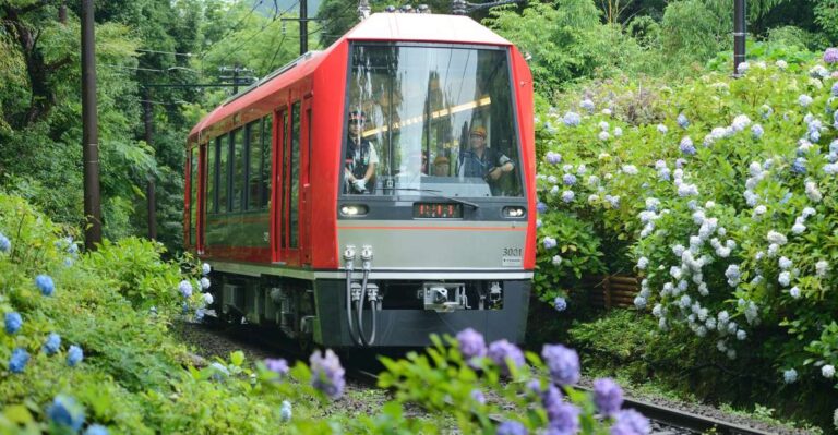 hakone-train-pass-with-unlimited-rides-activity-discounts-quick-takeaways