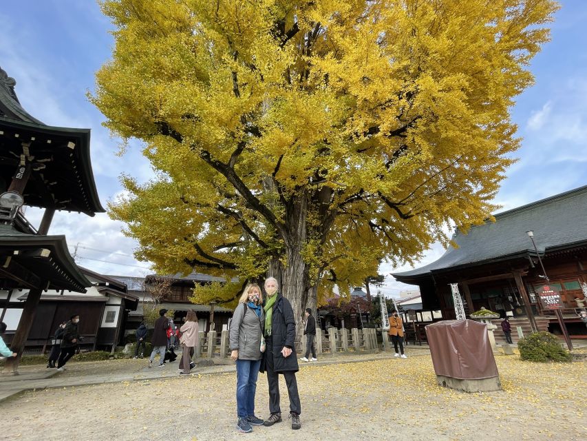 Takayama: Private Walking Tour With a Local Guide - Experience