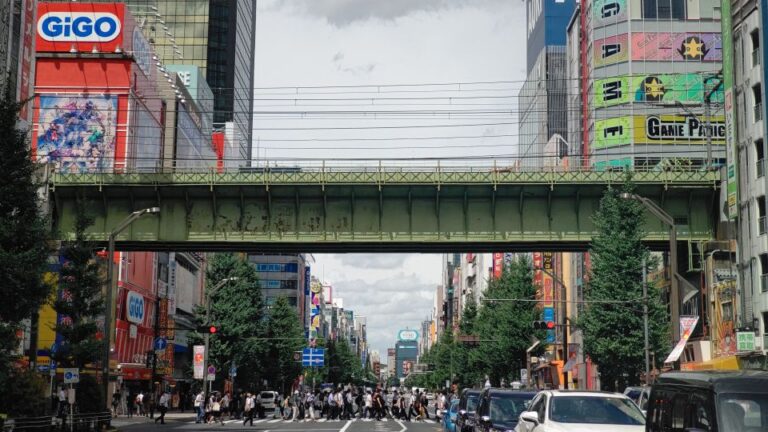 akihabara-anime-and-electronics-guided-tour-quick-takeaways