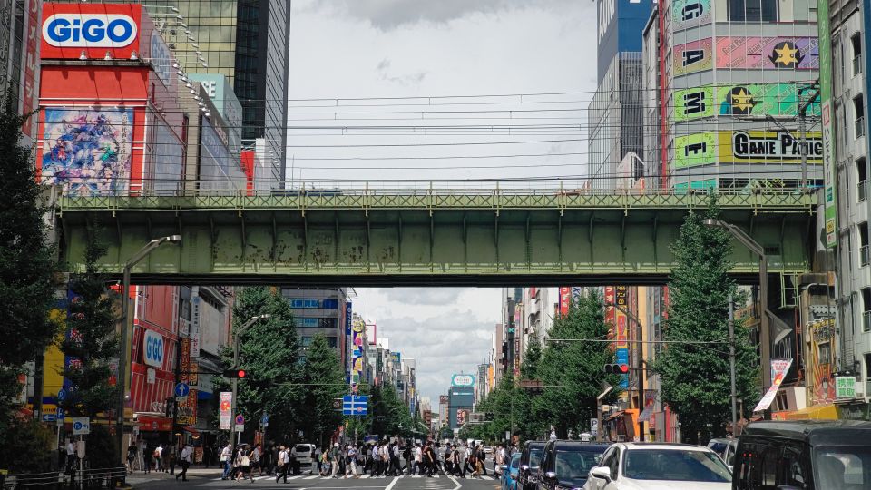 Akihabara: Anime and Electronics Guided Tour - Quick Takeaways