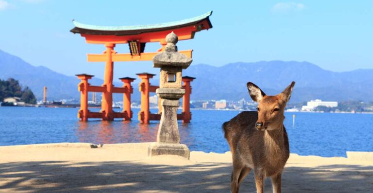 from-hiroshima-hiroshima-and-miyajima-island-1-day-bus-tour-quick-takeaways