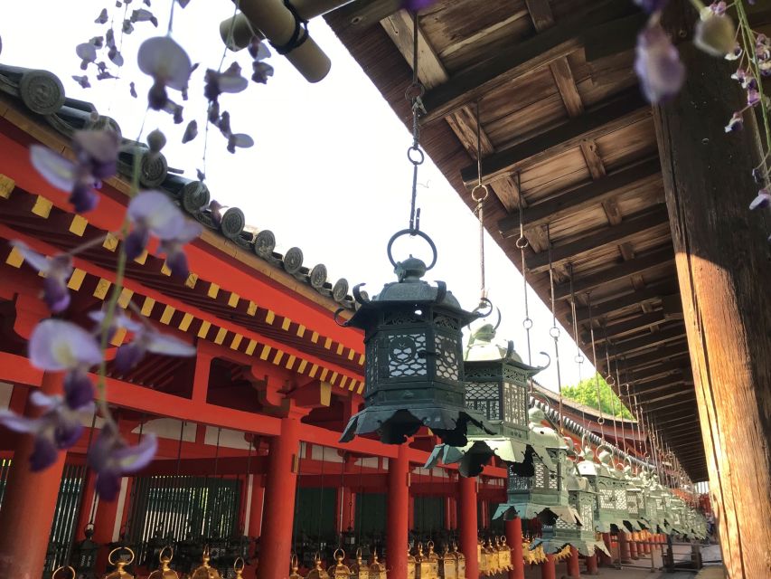 From Kyoto: Nara Guided Half Day Bus Tour - Activity Details and Options