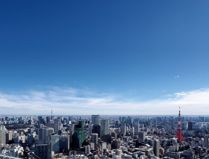 Tokyo: Roppongi Hills Observatory Ticket - Ticket Details and Benefits