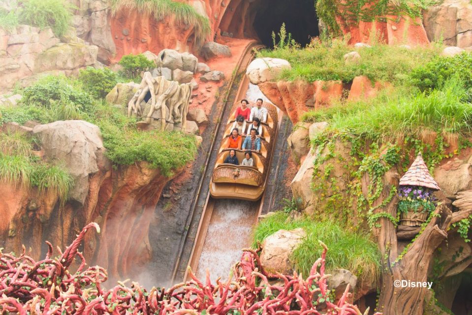 Tokyo Disneyland 1-Day Passport - Review Summary