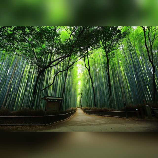 full-day-highlights-destination-of-kyoto-with-hotel-pickup-quick-takeaways