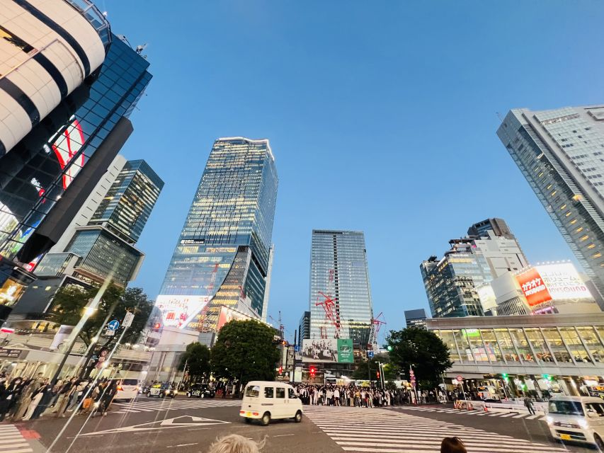 Tokyo Private Sightseeing Customizable Day Tour by Car & Van - Description of Tokyo