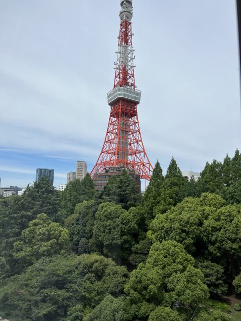 Tokyo Private Sightseeing Customizable Day Tour by Car & Van - The Sum Up