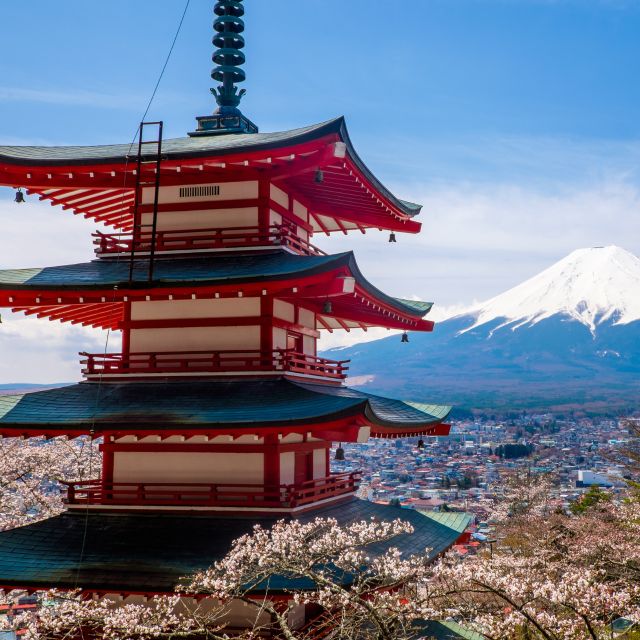 From Tokyo: Mount Fuji and Hakone Private Day Tour - Scenic Beauty of Mt. Fuji