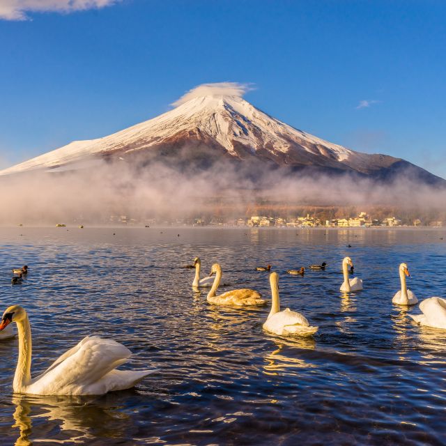 from-tokyo-mount-fuji-and-hakone-private-day-tour-quick-takeaways