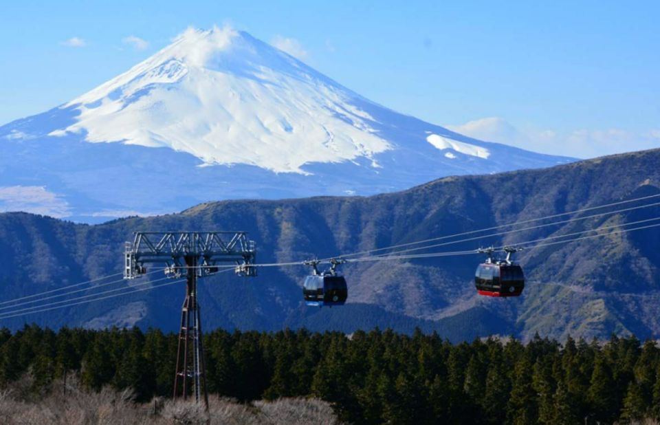 From Tokyo: 10-hour Hakone Private Custom Tour - Quick Takeaways