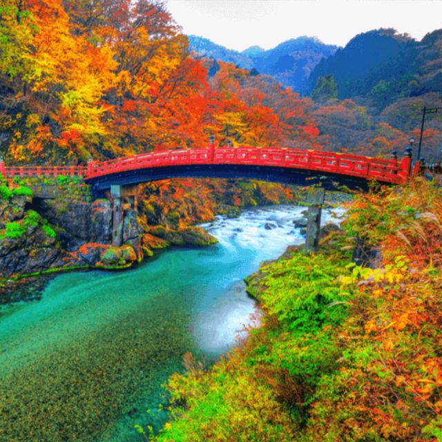 Nikko World Heritage Private Tour From Tokyo By Car & Van - Last-Minute Booking and Extra Time Given
