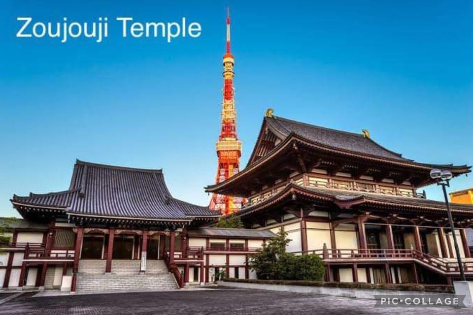 Tokyo: Private Full Day Sightseeing Tour - Nezu Shrine and Tokyo Attractions