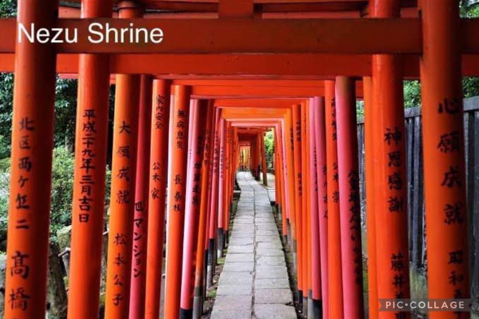 Tokyo: Private Full Day Sightseeing Tour - Tour Details