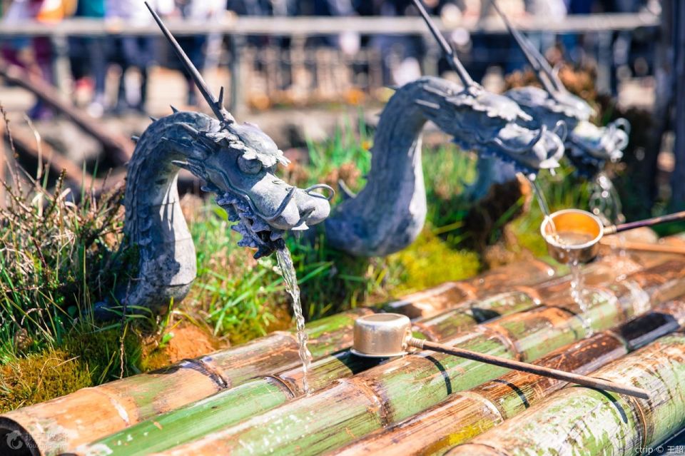 Tokyo: Mt.Fuji, Oshino Hakkai, and Onsen Hot Spring Day Trip - Important Information