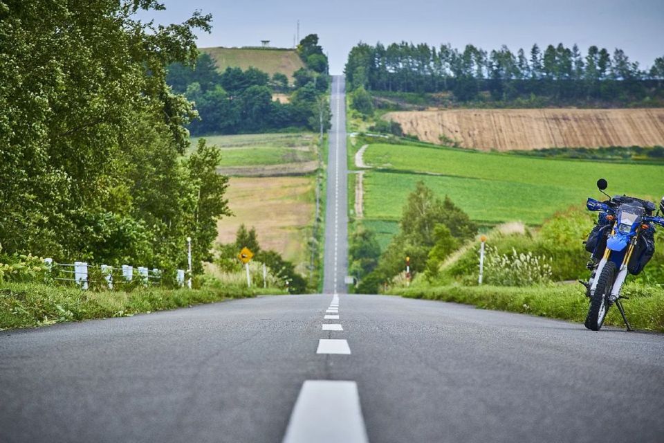 Sapporo: Biei Blue Pond & Furano Flower Farm Trip With Lunch - The Sum Up