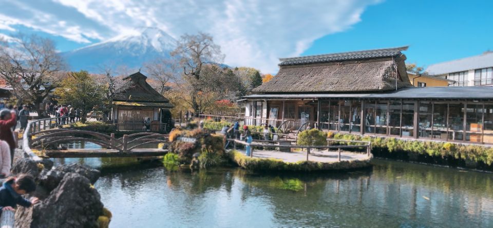 Private Full Day Sightseeing Tour to Mount Fuji and Hakone - Oshino Hakkai Springs