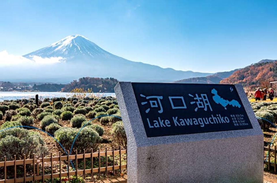 Tokyo: Day Trip to Lake Kawaguchi and Craft Experience - The Sum Up